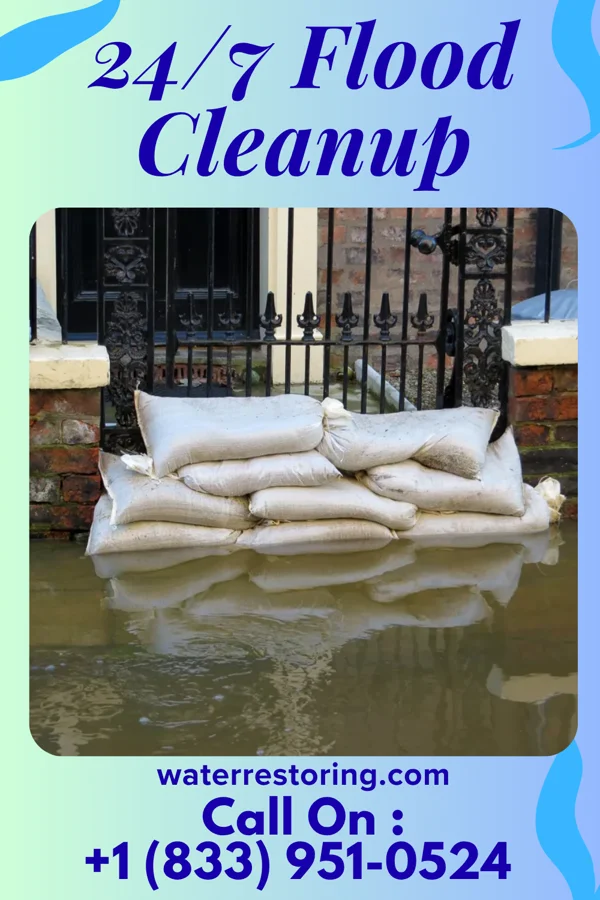 24/7 Flood Cleanup in Medford, MN