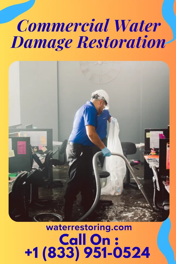 Commercial Water Damage Restoration in Medford, MN