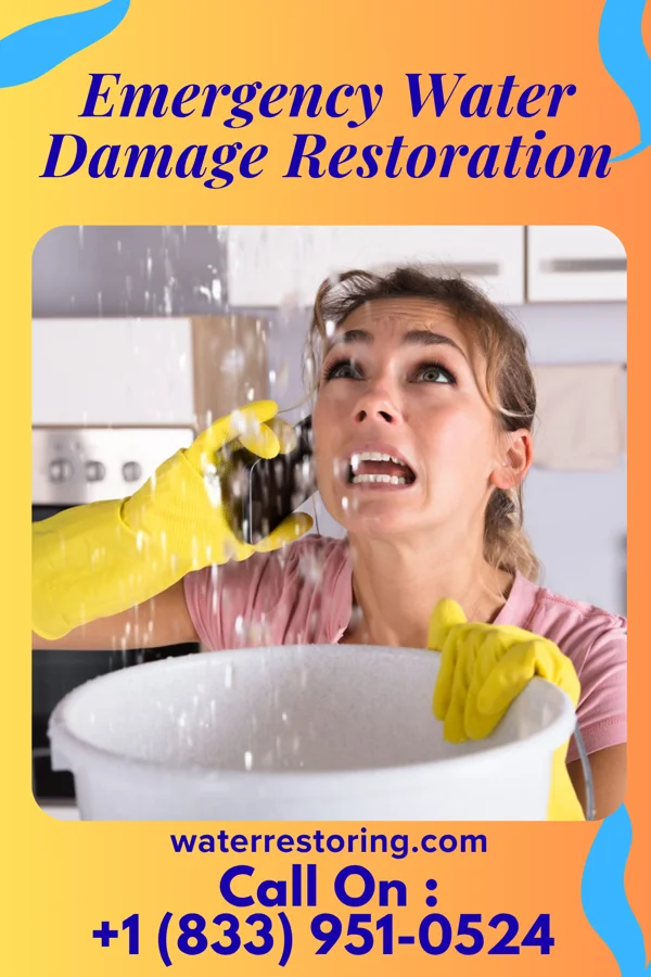 Emergency Water Damage Restoration in Medford, MN