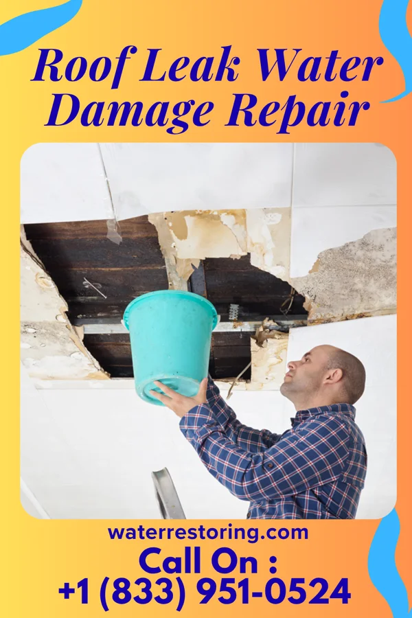 Roof Leak Water Damage Repair in Medford, MN