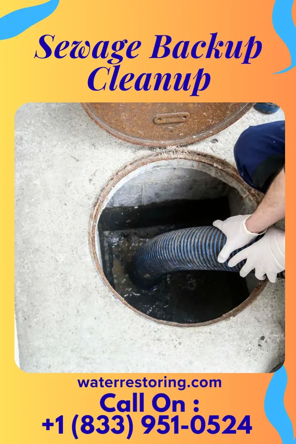 Sewage Backup Cleanup in Medford, MN