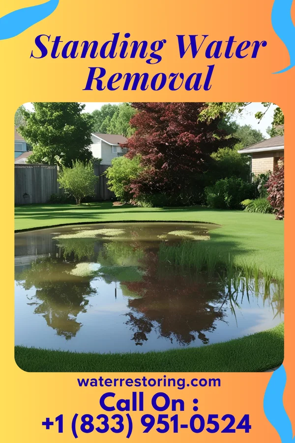 Standing Water Removal in Medford, MN